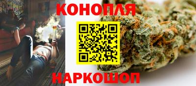 МДПВ Моздок
