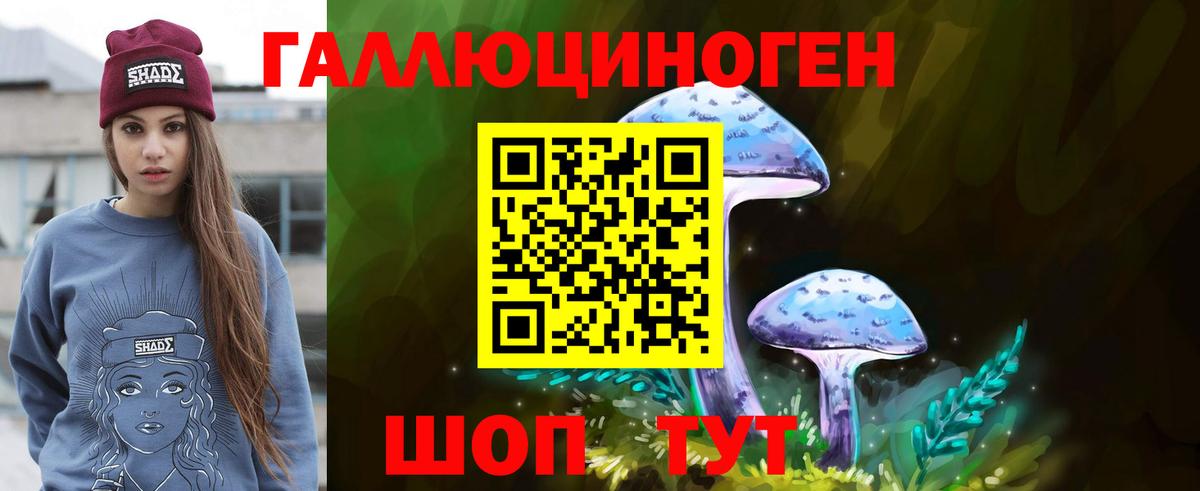 Псилоцибиновые грибы Cubensis Черняховск