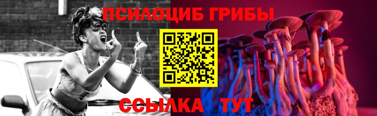Псилоцибиновые грибы Psilocybe  Галлюциногенные грибы Psilocybine cubensis  Вход с VPN  наркота  Черняховск 
